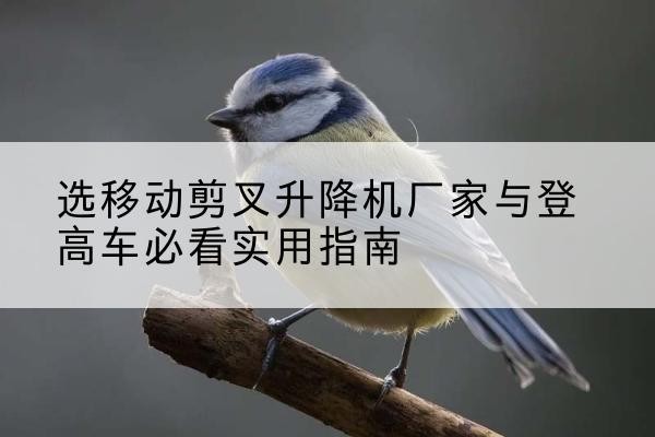 临朐电动升降机厂家-选移动剪叉升降机厂家与登高车必看实用指南