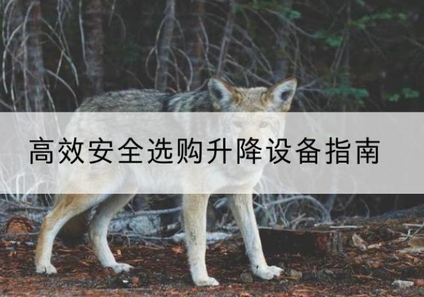 临朐升降货梯厂家推荐-*安全选购升降设备指南