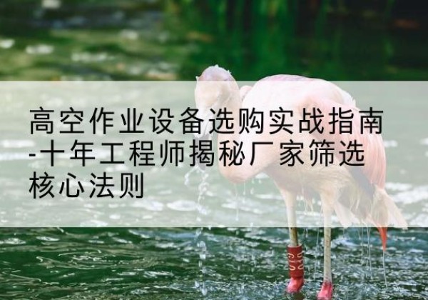临朐剪叉式升降机厂家-高空作业设备选购实战指南-十年工程师揭秘厂家筛选核心法则